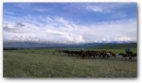 Сусамырская  долина пользуется славой одного из лучших джайлоо Кыргызстана.